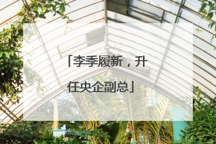 李季履新，升任央企副总