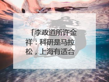 李政道所许金祥：科研是马拉松，上海有适合的跑道｜扎根上海，从0到1