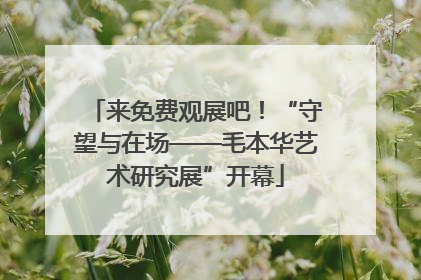 来免费观展吧！“守望与在场——毛本华艺术研究展”开幕