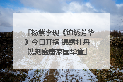 杨紫李现《锦绣芳华》今日开播 锦绣牡丹镌刻盛唐家国华章