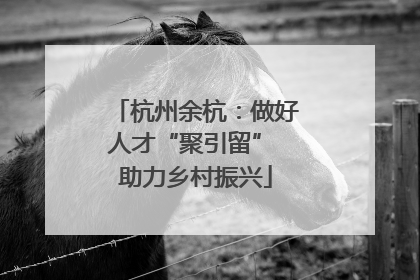杭州余杭:做好人才“聚引留” 助力乡村振兴