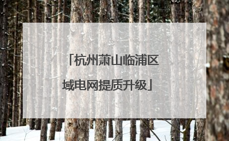 杭州萧山临浦区域电网提质升级