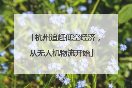 杭州追赶低空经济，从无人机物流开始