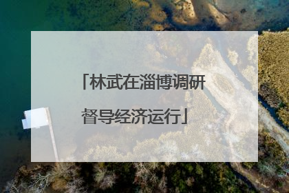 林武在淄博调研督导经济运行