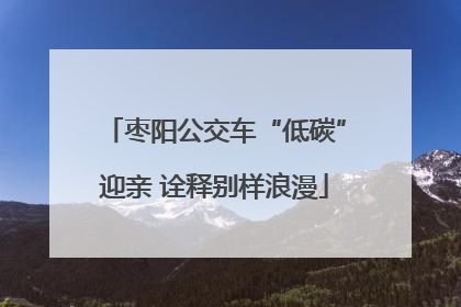 枣阳公交车“低碳”迎亲 诠释别样浪漫