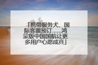 携带服务犬、国际客票预订……鸿蒙版中国国航让更多用户心愿成真