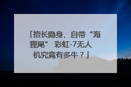 擅长隐身、自带“海狸尾” 彩虹-7无人机究竟有多牛？