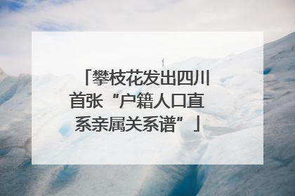攀枝花发出四川首张“户籍人口直系亲属关系谱”