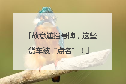 故意遮挡号牌，这些货车被“点名”！