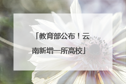 教育部公布！云南新增一所高校