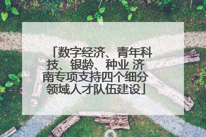 数字经济、青年科技、银龄、种业 济南专项支持四个细分领域人才队伍建设