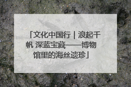文化中国行｜浪起千帆 深蓝宝藏——博物馆里的海丝遗珍