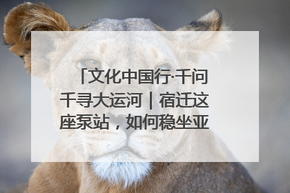 文化中国行·千问千寻大运河｜宿迁这座泵站，如何稳坐亚洲第一宝座？