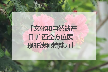 文化和自然遗产日 广西全方位展现非遗独特魅力