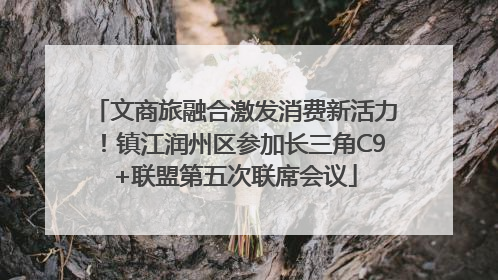 文商旅融合激发消费新活力！镇江润州区参加长三角C9+联盟第五次联席会议