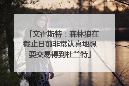 文霍斯特：森林狼在截止日前非常认真地想要交易得到杜兰特