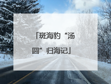 斑海豹“汤圆”归海记