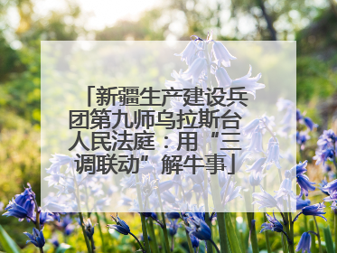 新疆生产建设兵团第九师乌拉斯台人民法庭：用“三调联动”解牛事