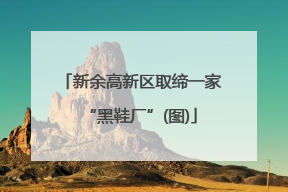 新余高新区取缔一家“黑鞋厂”(图)