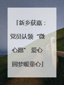新乡获嘉：党员认领“微心愿” 爱心圆梦暖童心