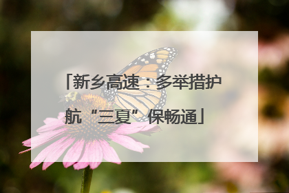 新乡高速：多举措护航“三夏”保畅通