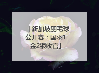 新加坡羽毛球公开赛：国羽1金2银收官