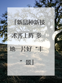 新品种新技术齐上阵 多地一片好“丰”景