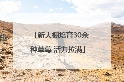 新大棚培育30余种草莓 活力拉满