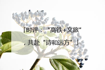 时评：“高铁+文旅”，共赴“诗和远方”