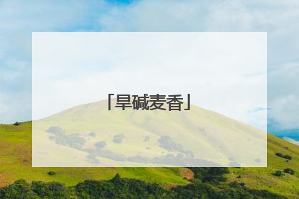 旱碱麦香