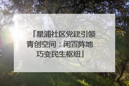 星浦社区党建引领青创空间：闲置阵地巧变民生枢纽