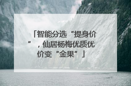 智能分选“提身价”，仙居杨梅优质优价变“金果”