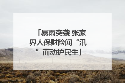 暴雨突袭 张家界人保财险闻“汛”而动护民生