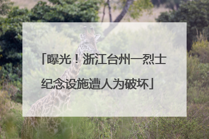 曝光！浙江台州一烈士纪念设施遭人为破坏