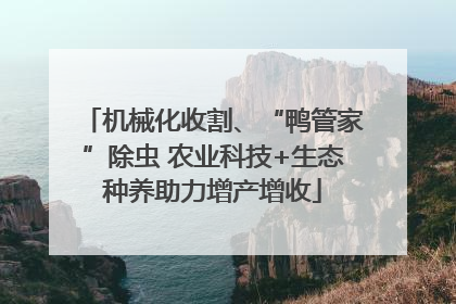 机械化收割、“鸭管家”除虫 农业科技+生态种养助力增产增收