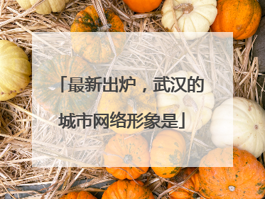 最新出炉，武汉的城市网络形象是