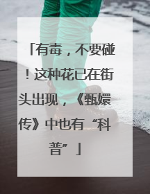 有毒，不要碰！这种花已在街头出现，《甄嬛传》中也有“科普”