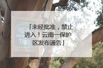 未经批准，禁止进入！云南一保护区发布通告