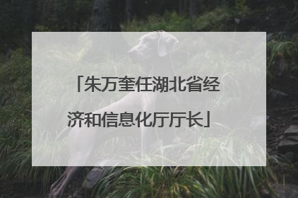 朱万奎任湖北省经济和信息化厅厅长