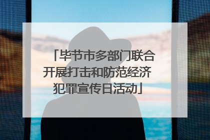 毕节市多部门联合开展打击和防范经济犯罪宣传日活动