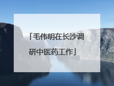 毛伟明在长沙调研中医药工作