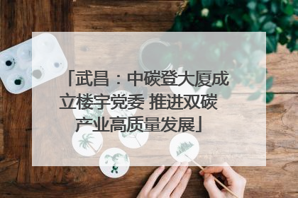 武昌：中碳登大厦成立楼宇党委 推进双碳产业高质量发展