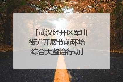 武汉经开区军山街道开展节前环境综合大整治行动
