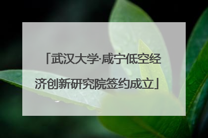 武汉大学·咸宁低空经济创新研究院签约成立