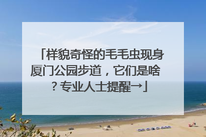 样貌奇怪的毛毛虫现身厦门公园步道，它们是啥？专业人士提醒→