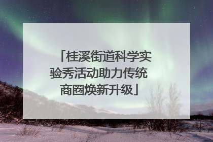 桂溪街道科学实验秀活动助力传统商圈焕新升级