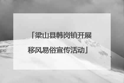 梁山县韩岗镇开展移风易俗宣传活动