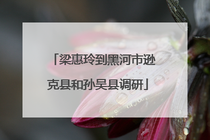 梁惠玲到黑河市逊克县和孙吴县调研
