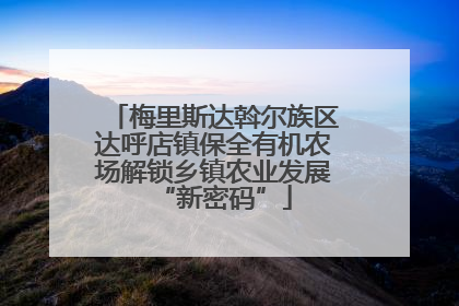梅里斯达斡尔族区达呼店镇保全有机农场解锁乡镇农业发展“新密码”