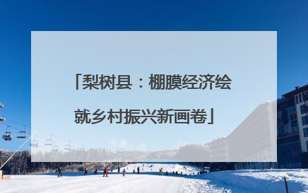梨树县：棚膜经济绘就乡村振兴新画卷